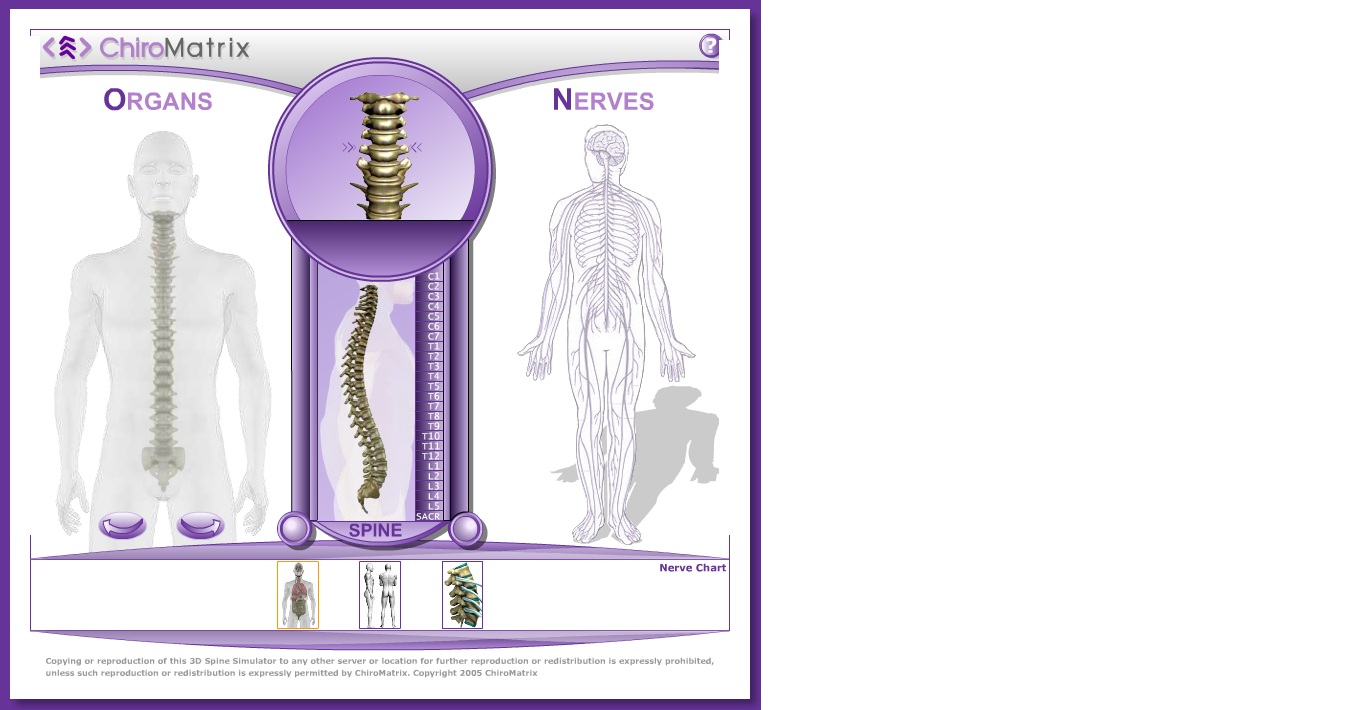 1st-step-chiropractic-and-wellness-chiropractor-in-sioux-city-ia-us-3d-spine-simulator